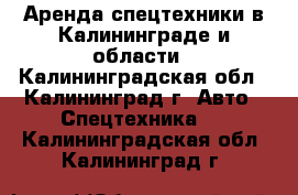 Аренда спецтехники в Калининграде и области - Калининградская обл., Калининград г. Авто » Спецтехника   . Калининградская обл.,Калининград г.